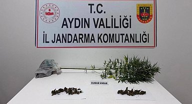 Söke'de narkotik köpeği destekli operasyonda uyuşturucu madde ele geçirildi