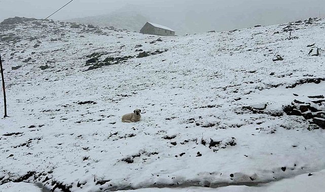 Sonbahar mevsiminin ilk karı Kaçkarlar'ı beyaza bürüdü