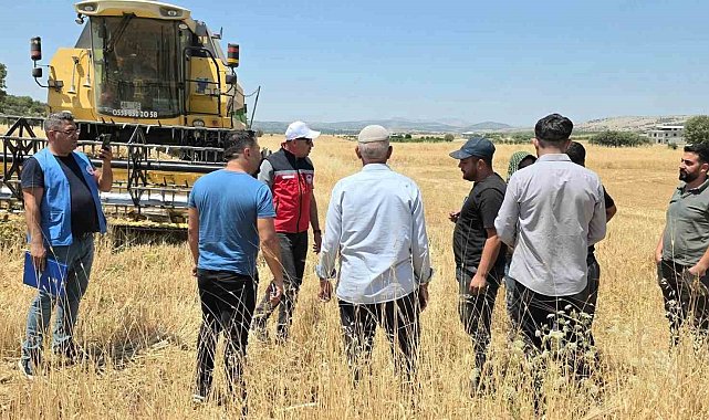 TAKEP kapsamında yüzde 75 hibe ile mercimek tohumuna müracaatlar başladı