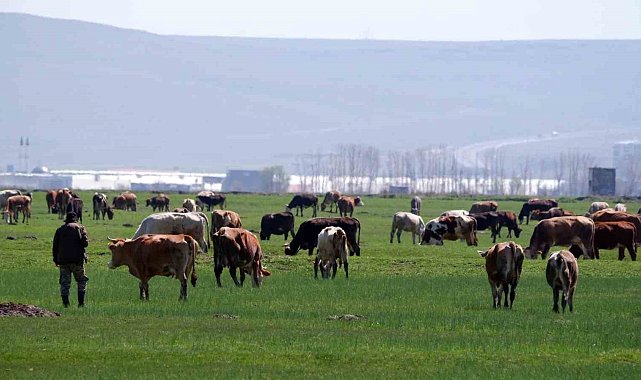 Tarımda üreticilere destekleme çağrısı
