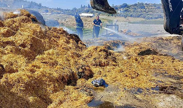 Tarsus'ta saman balyalarının olduğu alanda yangın