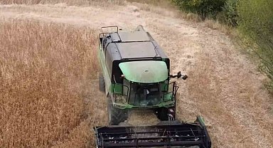 Tavşanlı'da aspir hasadı devam ediyor