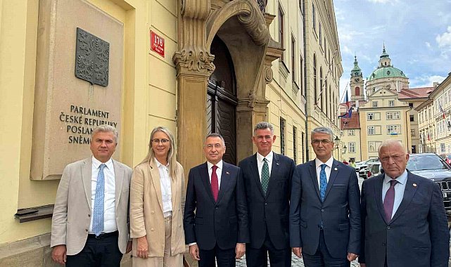 TBMM Dışişleri Komisyonu Başkanı Oktay'dan Çekya'ya Gazze çağrısı