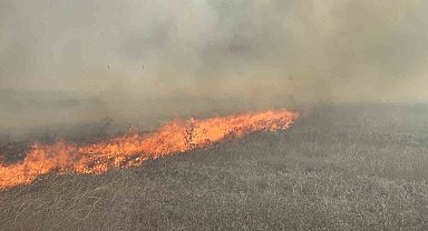Tekirdağ'da mera yangını
