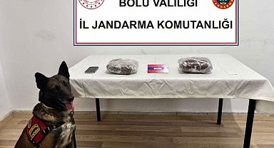 TEM'de yolcu otobüsünde 810 gram esrar ele geçirildi; 1 tutuklama