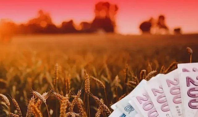 TMO'dan üreticiye 4,5 milyar TL'lik ödeme