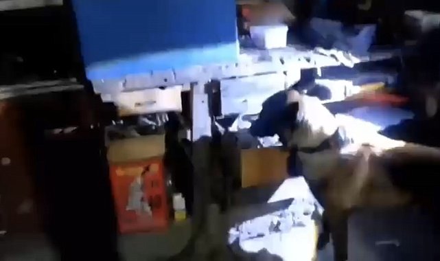Tokat'ta 11 adrese eş zamanlı silah operasyonu: 11 gözaltı