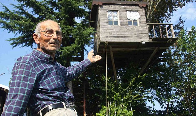 Torunu istedi, dedesi yaptı: 90 yıllık meşe ağacının tepesine ev kurdu
