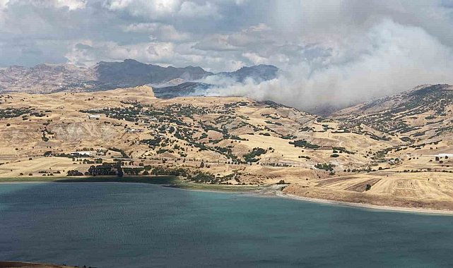 Tunceli'de kırsal alan yangını: Müdahale sürüyor