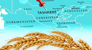 Türkiye un ihracatında 12. şampiyonluk hedefini koydu... Tahıl sektörü Taşkent'te buluşuyor