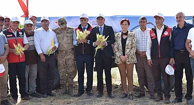 Tuşba'da "Silajlık Mısır Hasadı Tarla Günü" düzenlendi