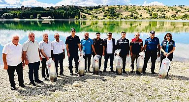 Uluköy Barajı'na 75 bin sazan yavrusu bırakıldı