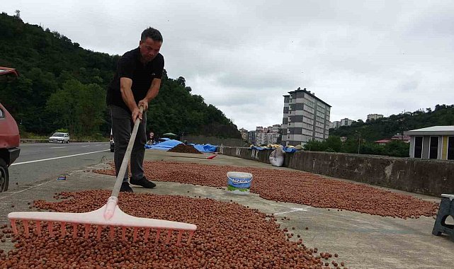Üretici serbest piyasada 190 lirayı görünce TMO'ya yöneldi