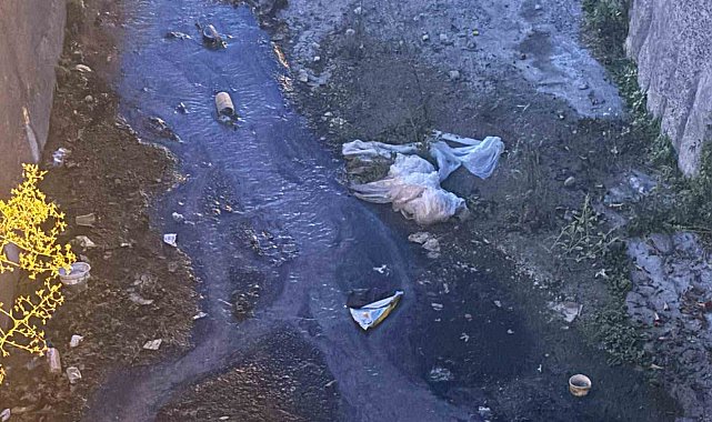 Urla'daki dere kirliliğine vatandaşlardan tepki