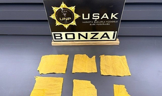 Uşak'ta uyuşturucu operasyonunda 14 şüpheli tutuklandı