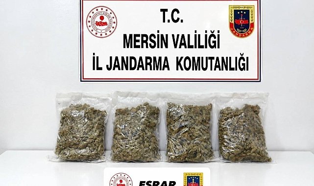 Uyuşturucu taciri 2 kilo 100 gram esrarla yakalandı