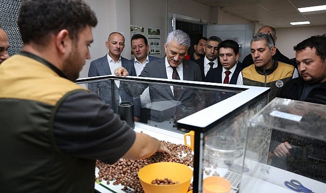Vali Makas Çilimli'de TMO fındık alım merkezini inceledi
