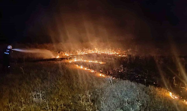 Van'da örtü üstü yangını