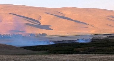 Van'daki Çırak Sazlığı'nda yangın çıktı