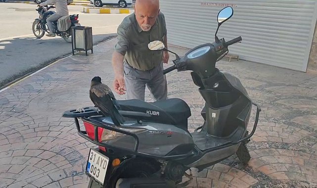 Vatandaşın 'Paramı ver' sözlerini umursamayan mahallelinin dostu karga, ağzındaki parayla görüntülendi
