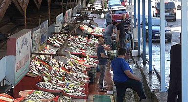 Yalova Balık Hali'nde fiyatlar düşüşe geçti