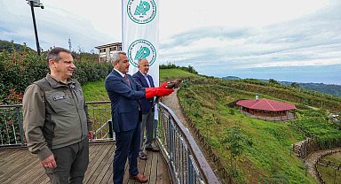 Yaralı arı şahinleri tedavilerinin ardından doğaya salındı