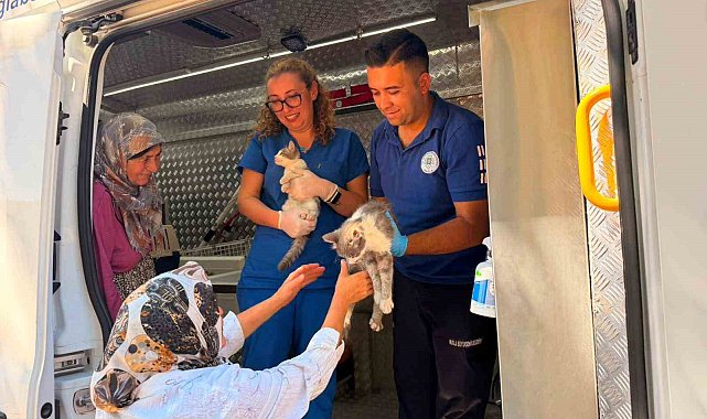 Yaraş'taki orman yangınında can dostlara acil müdahale