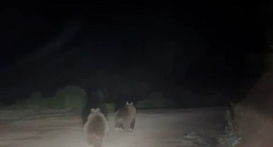 Yayla yolunda doğanın beklenmedik sürprizi