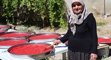Yazlıkçıların kış hazırlığı: Domates salçası tepsilerde güneşte olgunlaşıyor