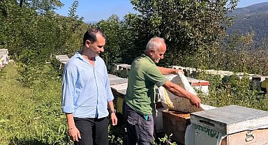 Yığılca'da arılı kovan tespit çalışması