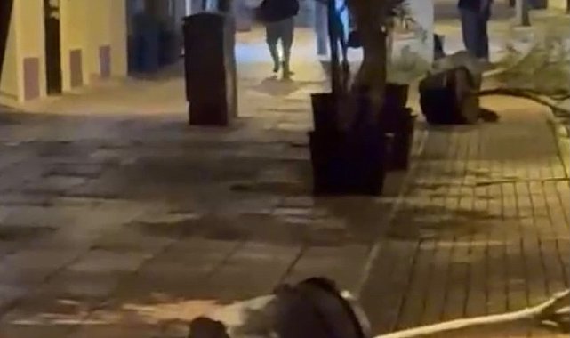Yol kenarındaki saksıları devirerek yürüdü