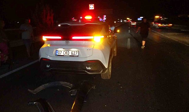 Yola fırlayan köpek kazaya neden oldu, 6 araç birbirine girdi