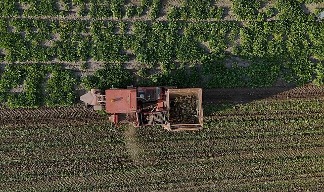 Yozgat'ta 6 aylık emeğin hasadı başladı