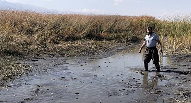 Yüksekova'da acı manzara: Susuz kalan balıklar çamur içinde kıvrandı