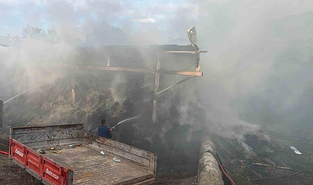 Yurtbekler köyünde samanlık alevlere teslim oldu
