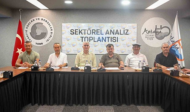 Zeytinde rekolte beklentisi yüzde 40 arttı