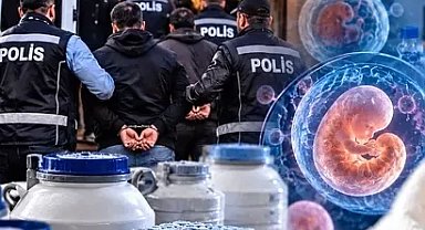 14 ilde üreme hücresi ve doku ticareti operasyonu! 36 gözaltı