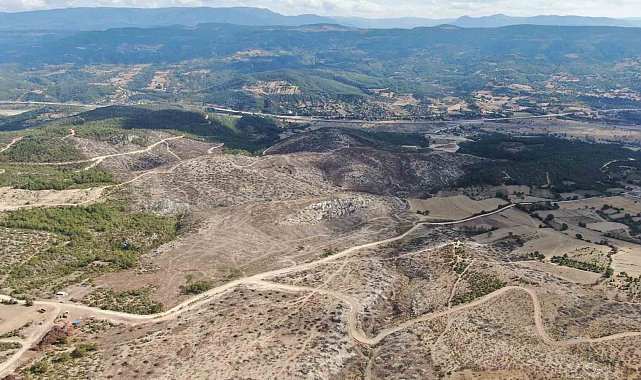 2 bin 736 hektar zarar görmüştü: Yanan orman yeniden yeşerecek