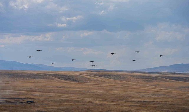 20 KARGU, sürü halinde saldırarak hedefleri imha etti