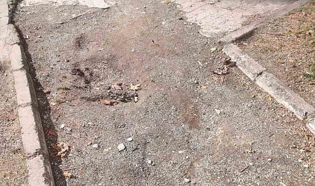 32 Evler Parkı bakımsızlığıyla dikkat çekti