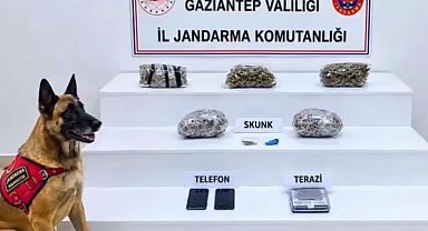 32 ilde yüzlerce kilo uyuşturucu ele geçirildi
