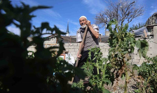 'Hayır yapmak kadar güzel bir şey yok' diyen 90 yaşındaki adam, 100 metre mesafeden taşıdığı suyla yetiştirdiği ürünleri hayrına dağıtıyor