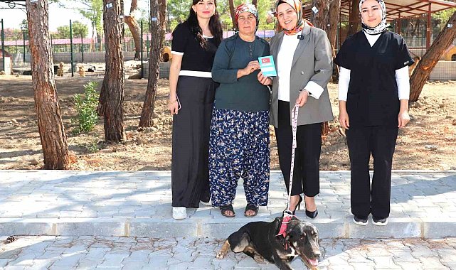 'Kopi' yangının ardından yeni yuvasına kavuştu