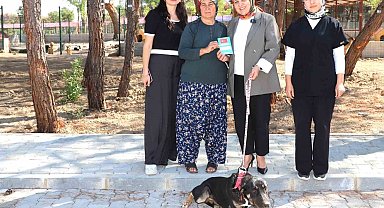'Kopi' yangının ardından yeni yuvasına kavuştu