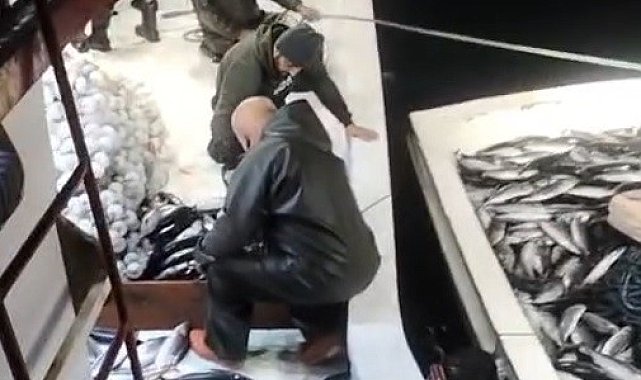 5 bin palamut tekneye sığmadı, yardıma başka tekne geldi