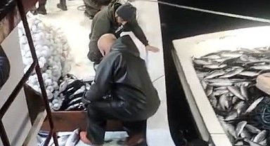 5 bin palamut tekneye sığmadı, yardıma başka tekne geldi