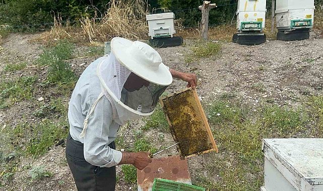 50 yıllık arıcı emekli başgardiyan 20 yıldır Avrupa'ya bal gönderiyor