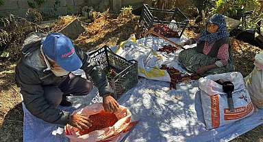 90 yaşındaki annenin evlat sevgisi acı biberi tatlı kıldı