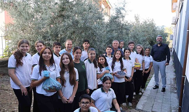Adana'da öğrenciler 1. sınıfta diktikleri zeytinlerin 8. sınıfta hasadını yaptılar