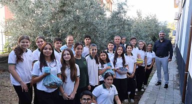 Adana'da öğrenciler 1. sınıfta diktikleri zeytinlerin 8. sınıfta hasadını yaptılar